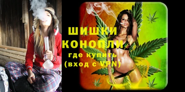 стаф Волоколамск