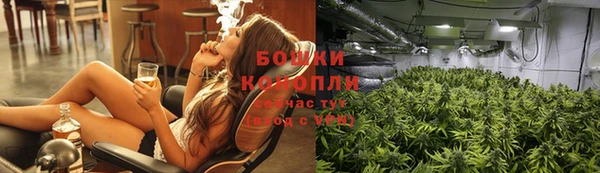 стаф Волоколамск