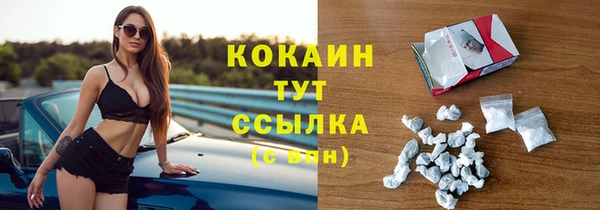 стаф Волоколамск